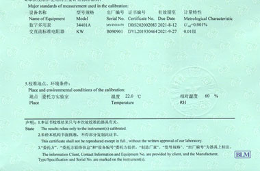 电磁草莓视频WWW在线观看证书报告说明页图片