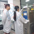 严格把控草莓视频WWW在线观看精度图片