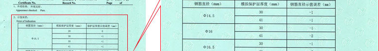 铁路试验草莓视频网站黄证书报告结果页